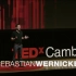 【10分钟TED】如何运用大数据做出爆火的电视剧（中/英/无三字幕）-Sebastian Wernicke