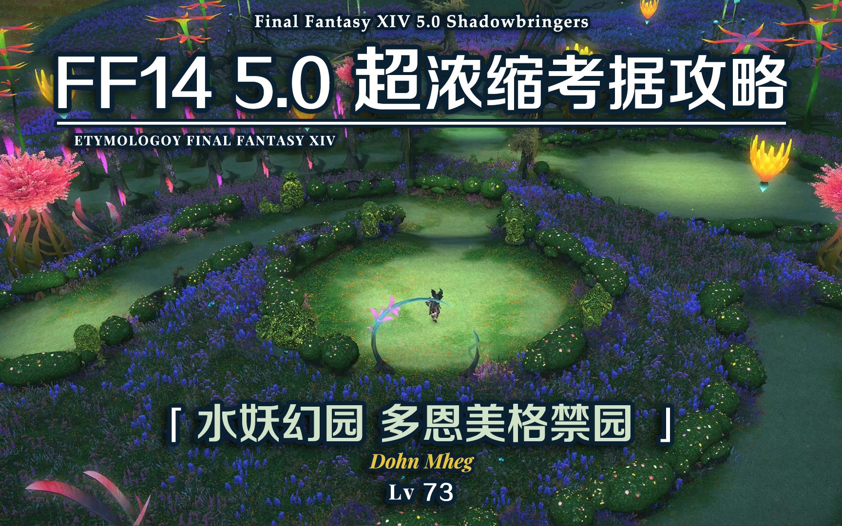 ff1450超浓缩考据攻略水妖幻园多恩美格禁园