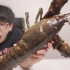 三千元一只的波士顿龙虾,帅小伙用麻辣小龙虾的炒法会好吃吗?