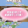 双鱼座3月三方能量指引（3/3集）#双鱼座#星座#塔罗