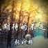 【Hi-Res无损】张妙格-我期待的不是雪「我期待的不是雪 而是有你的冬天」动态歌词