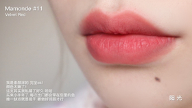 1790fd378f6a7b9f59a94c9c871ac70af03c58a9.jpg@280w_158h_1c_100q.jpg