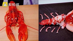 17ab10142b6c83871e02f879a36a79a7f8c74177.jpg@280w_158h_1c_100q.jpg