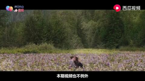80年代经典老歌曲谱_经典老歌口琴曲谱