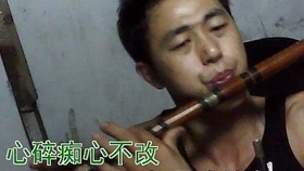 笛子曲乡思曲谱_陶笛曲谱12孔