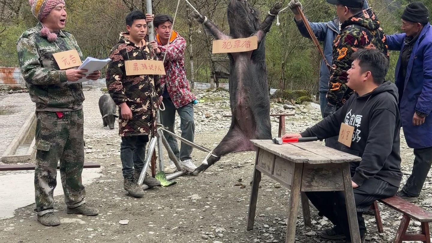国有国法，猪有猪规，不冤枉好猪，也不放过每一个坏猪。我就是这么公正的一个人。
