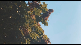 17c07e78944e5c951de65691f1aa18ce41141d1b.jpg@280w_158h_1c_100q.jpg