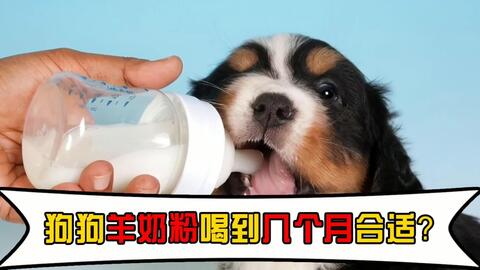 17d4b84651755decf9bd7ccdd174c6149f565e48.jpg@480w_270h_1c