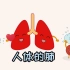 【生物学4】#人体科普 #人体的肺 重要的呼吸器官