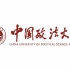 [虚拟第三学期] 中国政法大学公开课：刑事诉讼法庭审案例点评