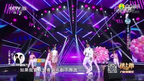 夜猫张蔷简谱_张蔷性感图片