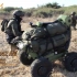 以色列“野鹅”战术运输车