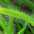 【CG短片欣赏】昆虫植物材质参考