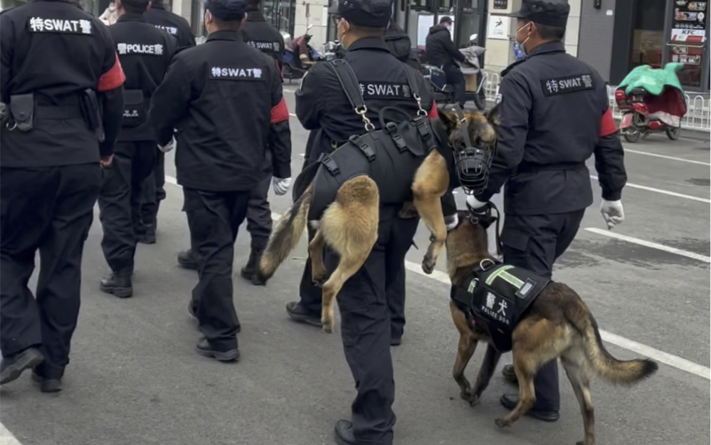 巴顿也渴望像其它警犬一样经常出去执勤，也想陪着铲屎官一起守护社会的安宁……