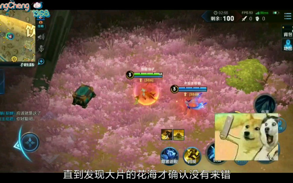活动作品王者荣耀边境突围的花海