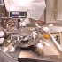 鸡蛋清洗分拣盖章蛋液分离，全程自动化！