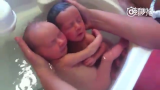 把刚出生的双胞胎放水里，他们以为自己还没出生，静静地抱在一起，太有爱了，生命伟大