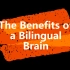 【TED-Ed】（中英双字）双语对大脑的益处 The benefits of a bilingual brain