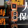 听着爵士给海鸥做大保健（海鸥双反