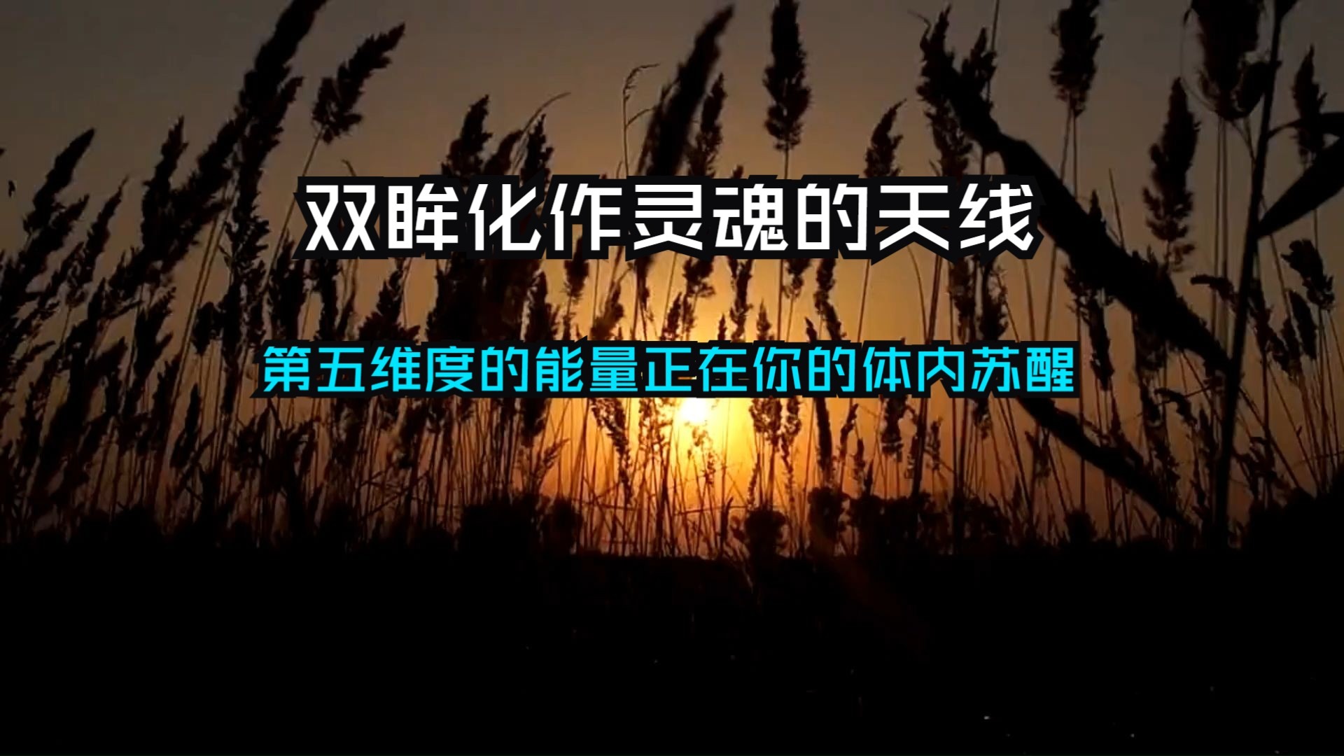 你的眼眸将超越凡俗的视界！觉醒后，双眸化作灵魂的天线！它能洞悉幻象、共振真相、震动他人频率！第五维度的能量正在你的体内苏醒..