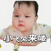 小飞兔来喽~看我扑棱扑棱的小翅膀