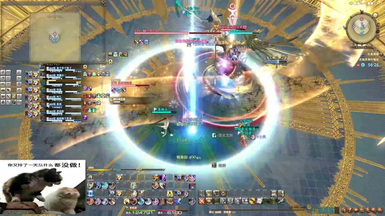 ff14无瑕灵君歼殛战极肥宅王97骑士视角