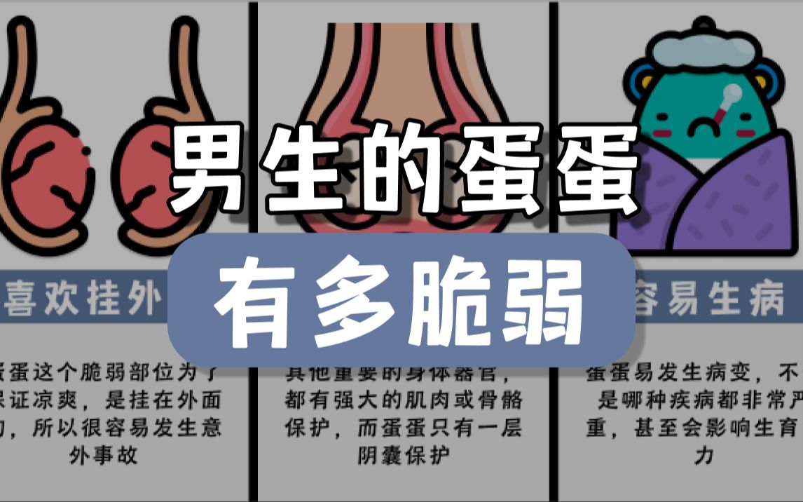 男生的蛋蛋有多脆弱