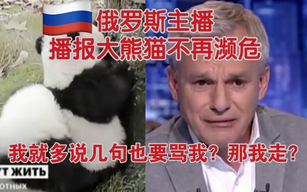 俄罗斯熊猫“妈妈粉”很严格之——多说几句也要被骂