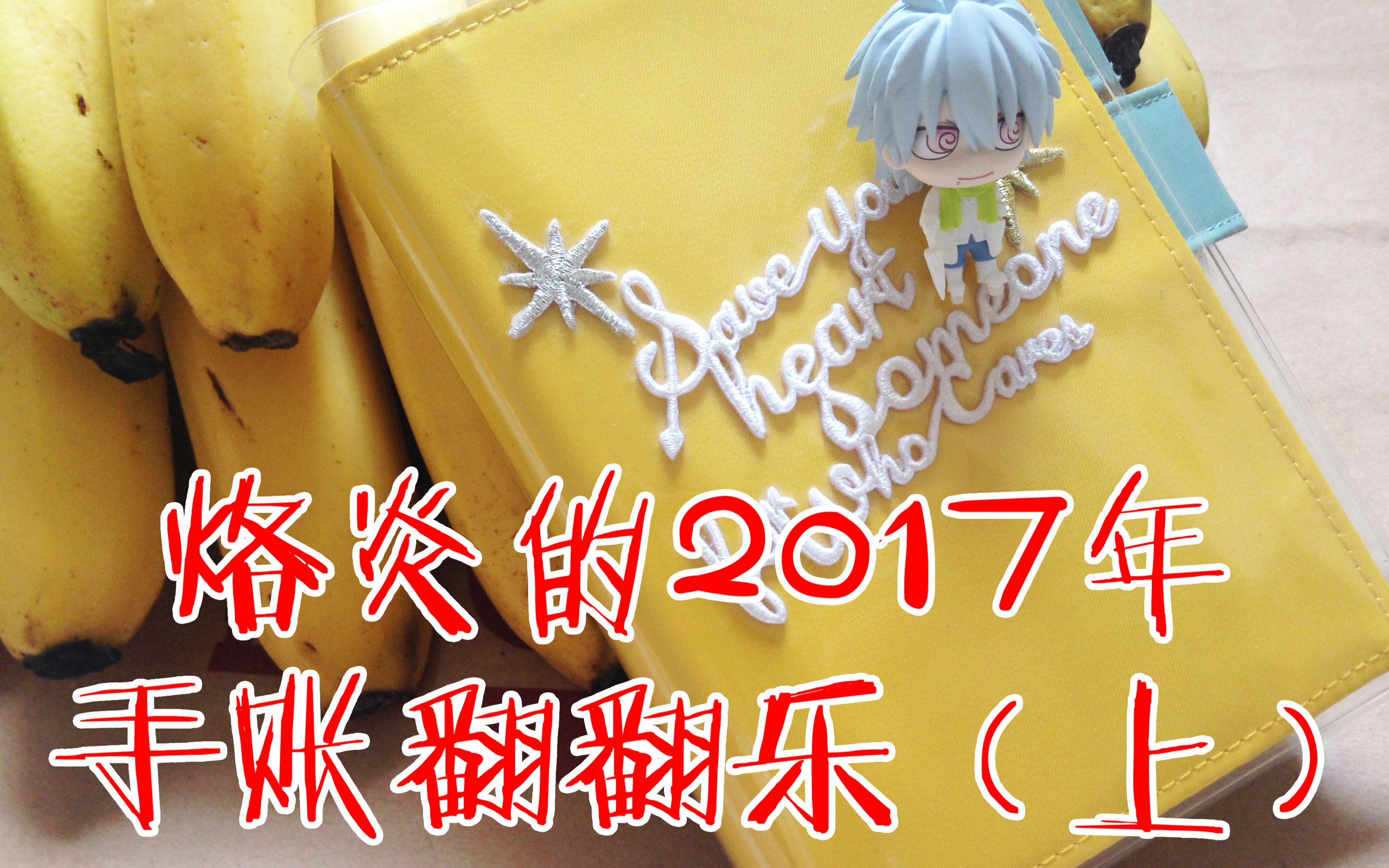 【烙炎】2017年手账翻翻看(上)