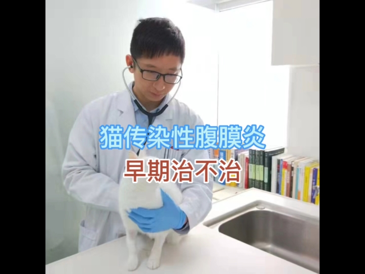 猫传腹早期治不治？