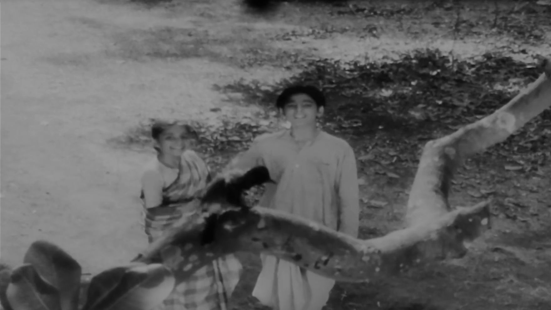 德夫达斯（1955）P3