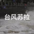 台风苏拉来了，深圳一男子不幸被大风刮倒的大树砸中不幸去世