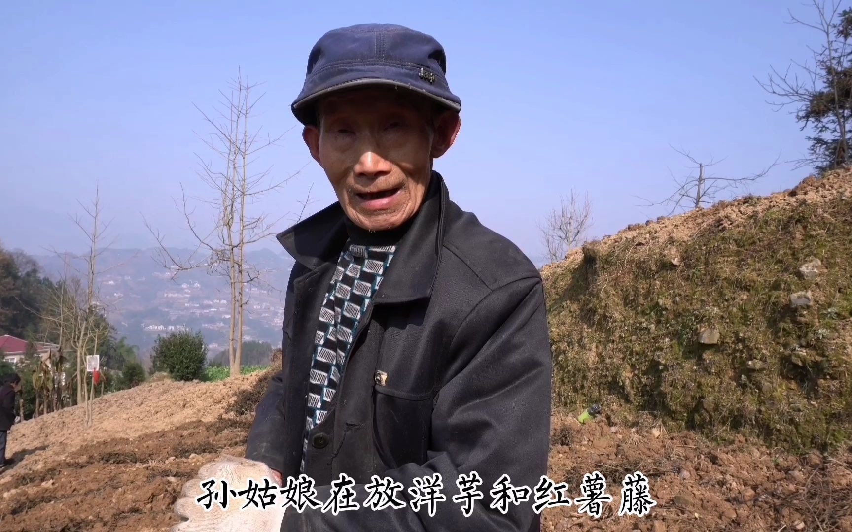 湖北81岁大爷做自媒体，老两口秘方种土豆，产量高每窝土豆大
