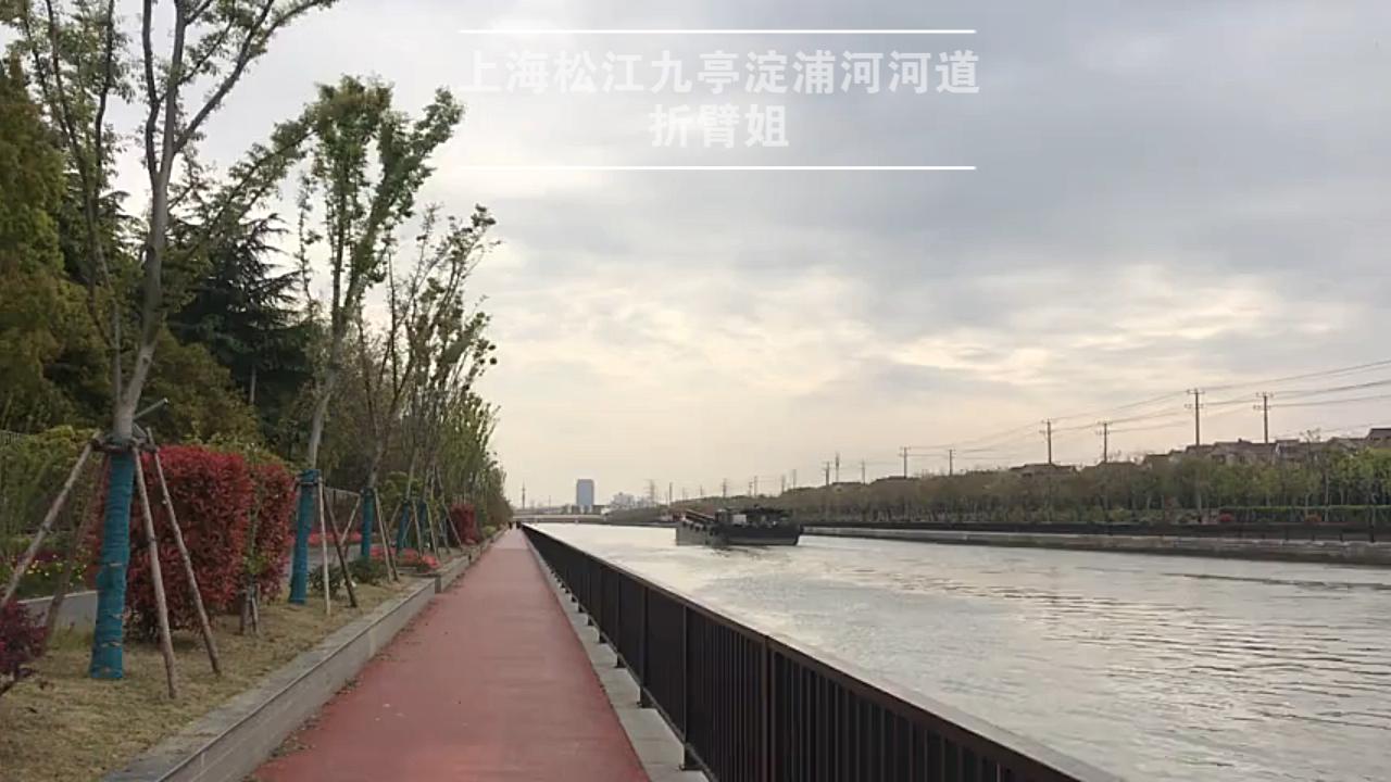 上海松江九亭淀浦河河道河面很宽阔周边居民闲庭信步的好地方