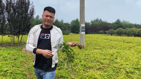 198af8fc3b99e8ba4c203bb890aacbaa8e65b0c1.jpg@480w_270h_1c