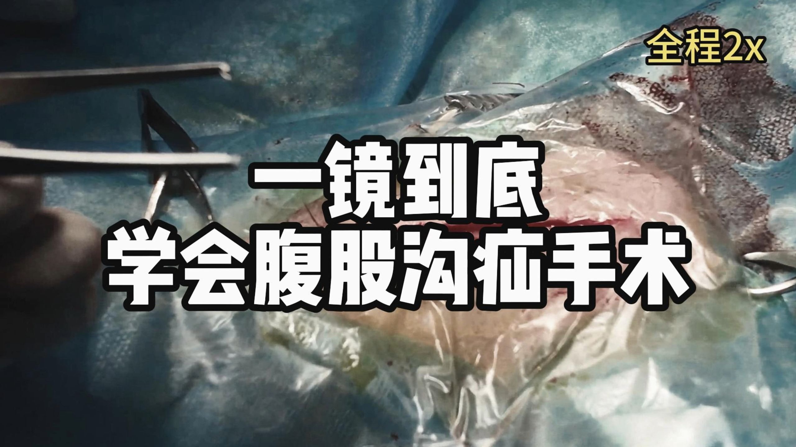 我在b站学兽医—腹股沟疝手术