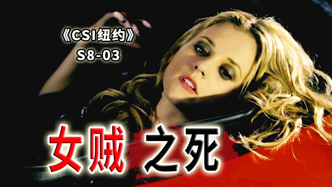 卿本佳人，奈何做贼？美艳女贼盗窃成瘾，死于非命《CSI纽约》S8-03
