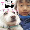 【阔纸】45秒で何ができる~结尾自带NG镜头