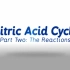 三羧酸循环2: 反应 The Citric Acid Cycle: The Reactions