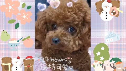 19faa9eb0982b33c4690083c2329e12002305420.jpg@480w_270h_1c