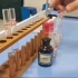 验证唾液淀粉酶对淀粉的消化作用实验教程