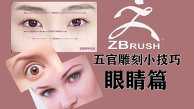 1a105be1758afc94cf9bb956d06e784c18bc37fa.jpg@280w_158h_1c_100q.jpg