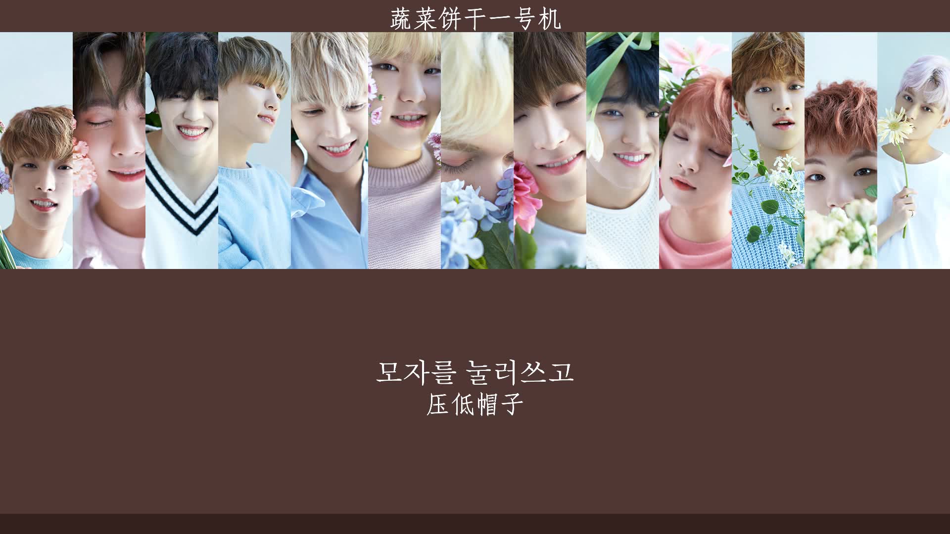 【中文字幕】seventeen - 压低帽子
