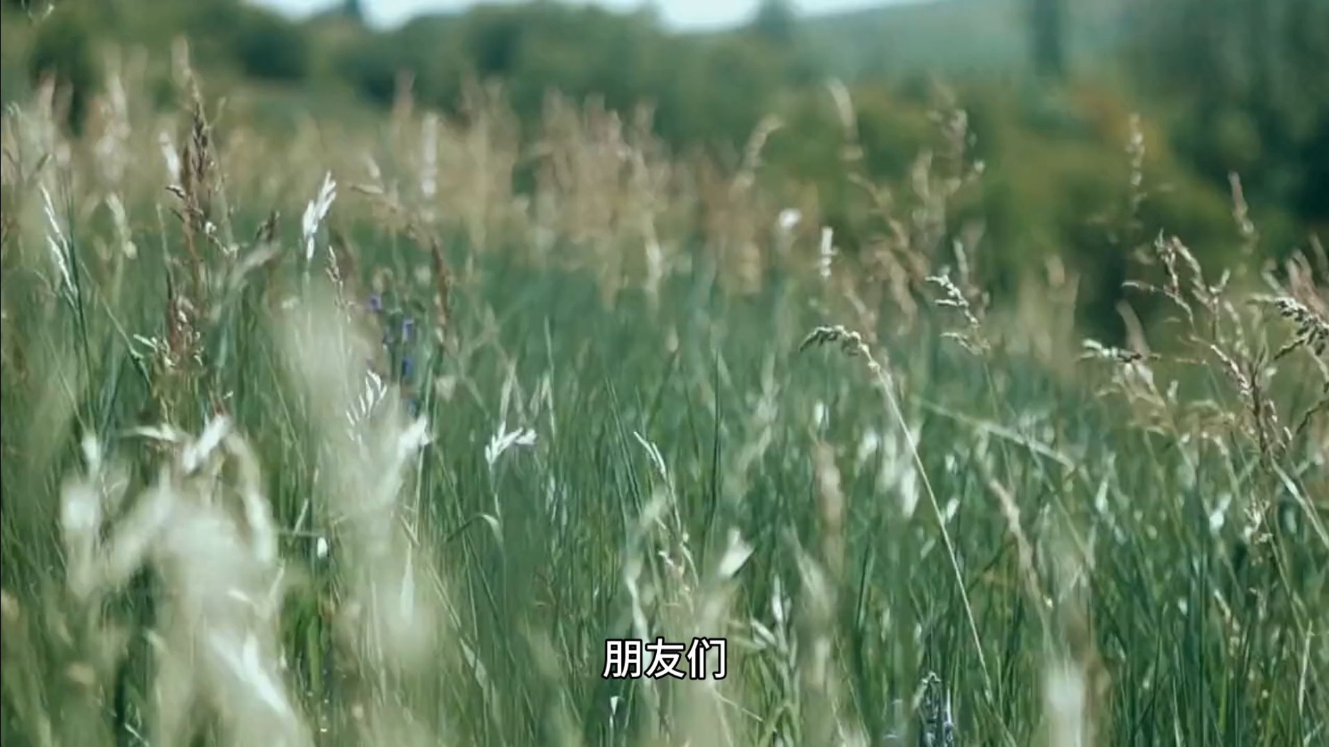 如何面对生命中出现的困境和不确定性？听完我这样说，千万不要觉得是我疯了！