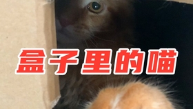 1a26f774d6e29fa7fee4fc7827986f1c8f101353.jpg@280w_158h_1c_100q.jpg