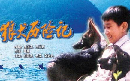 【国产/剧情】狼犬历险记【经典老电影】(1985)