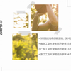 3所顶尖双飞工业大学，地域好，实力强（下