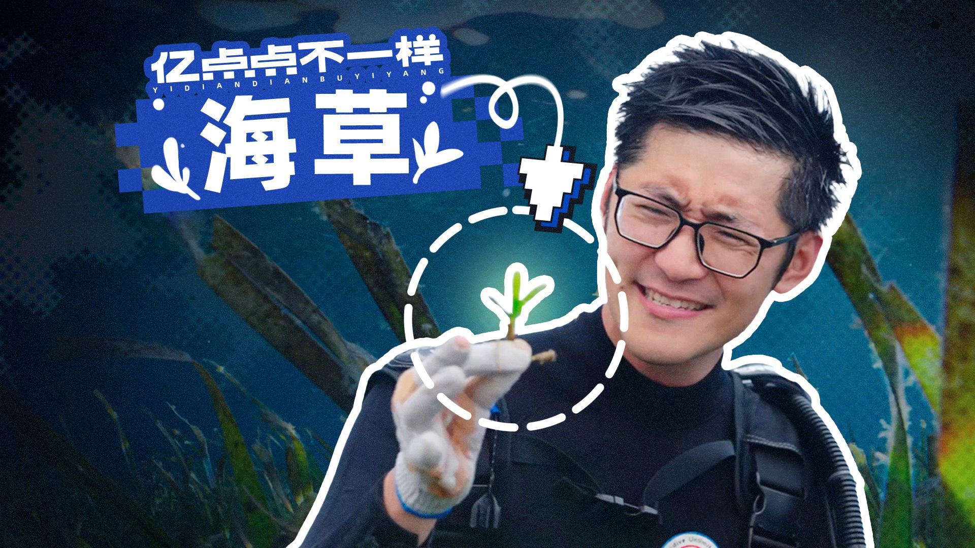 我们下海种了草…