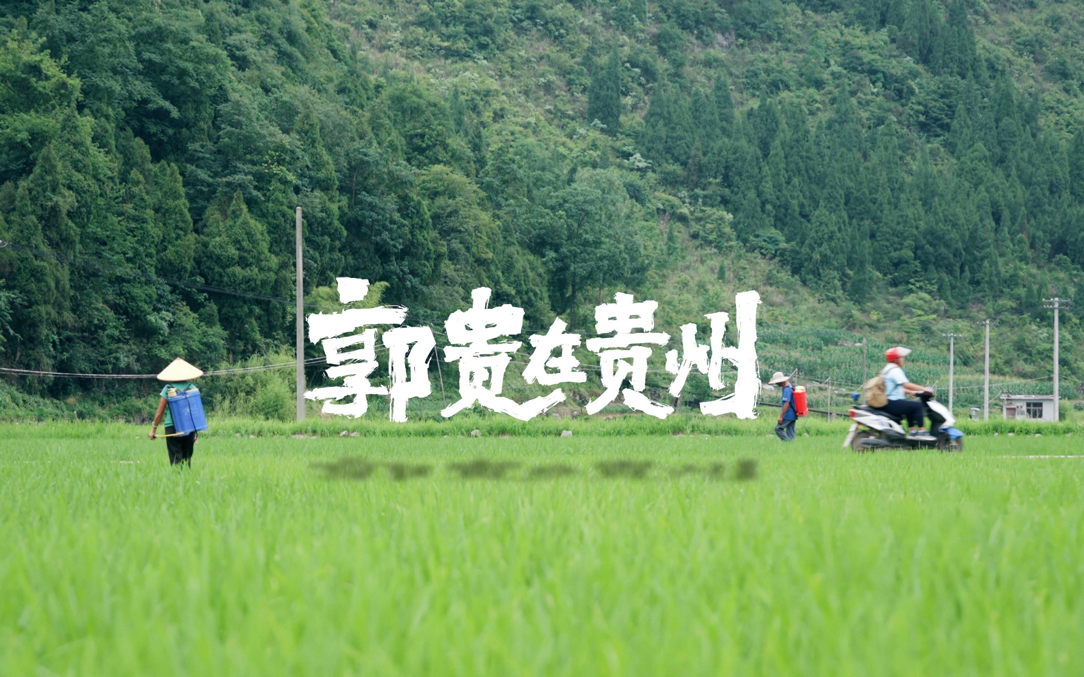 20年间50万人！年轻人，为啥到西部找苦吃？