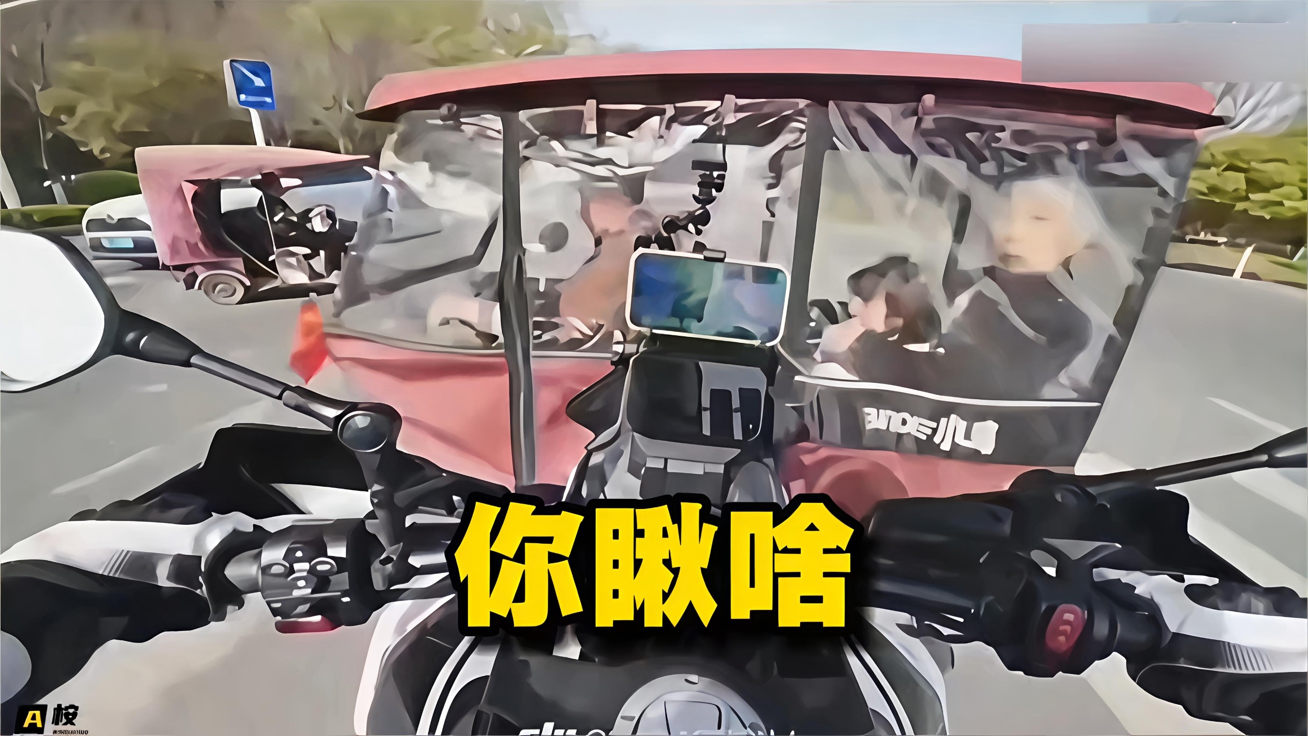 你瞅啥？撞你来啦！